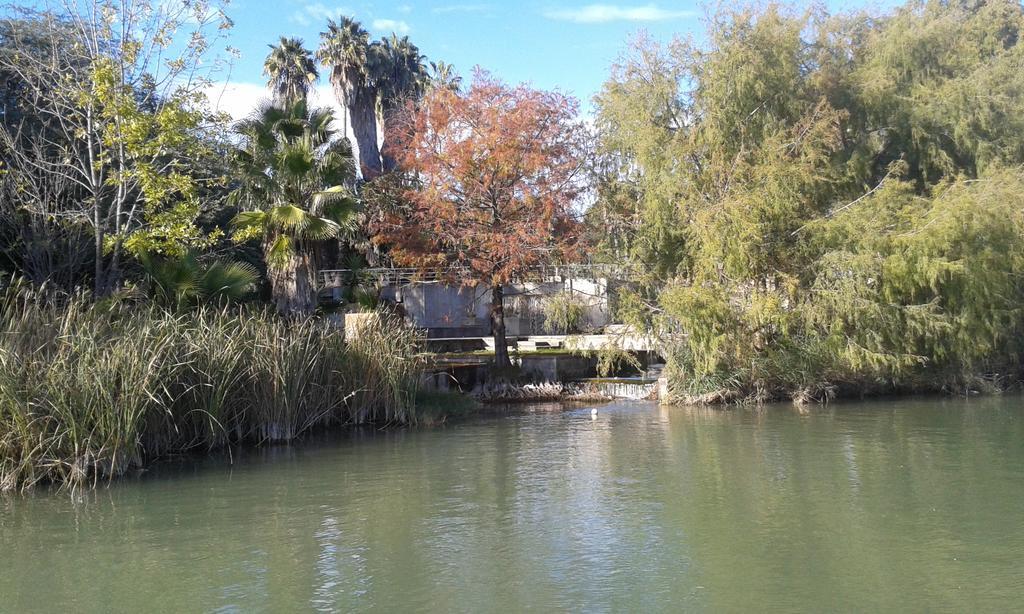 Apartamento Calle Goles Sevilla Værelse billede